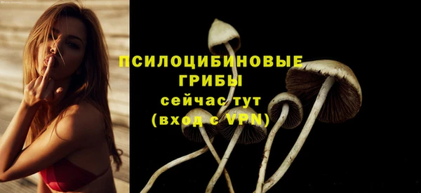 крисы Аркадак