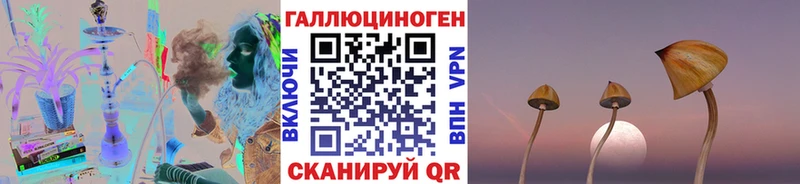 Псилоцибиновые грибы мицелий  Славск 