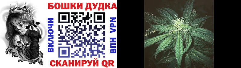 Марихуана ГИДРОПОН Славск
